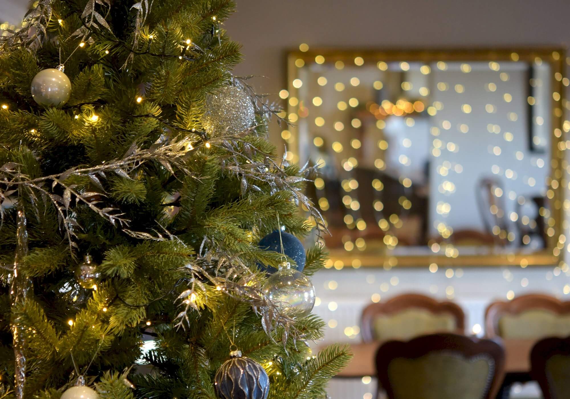 Festive Breaks